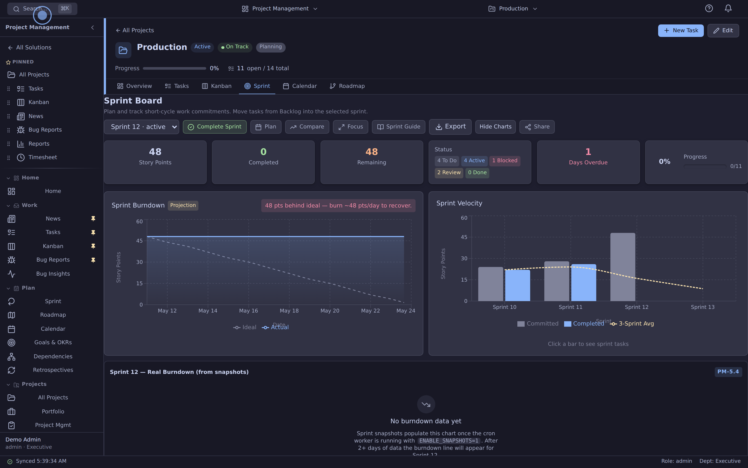 Sprint board with backlog, in-progress, review, and done columns, and a burndown chart